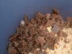  Faire retomber la pate en la retravaillant un peu et en la compressant. Ajouter le chocolat et les noisettes coupés en morceaux et l'œuf battu, et le beurre