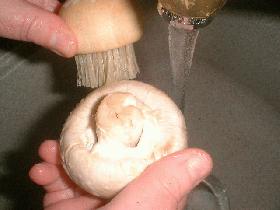 nettoyer les champignons et les sécher